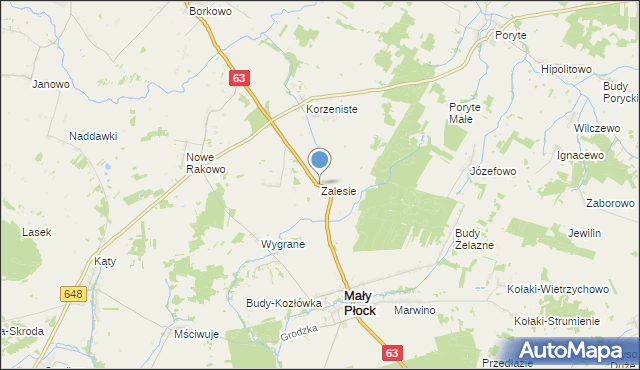 mapa Zalesie, Zalesie gmina Mały Płock na mapie Targeo